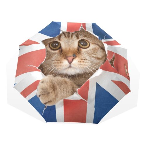 Ombrello Gatto Regno Unito
